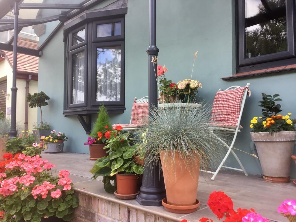 韦斯顿小屋住宿加早餐旅馆 浦耳 外观 照片